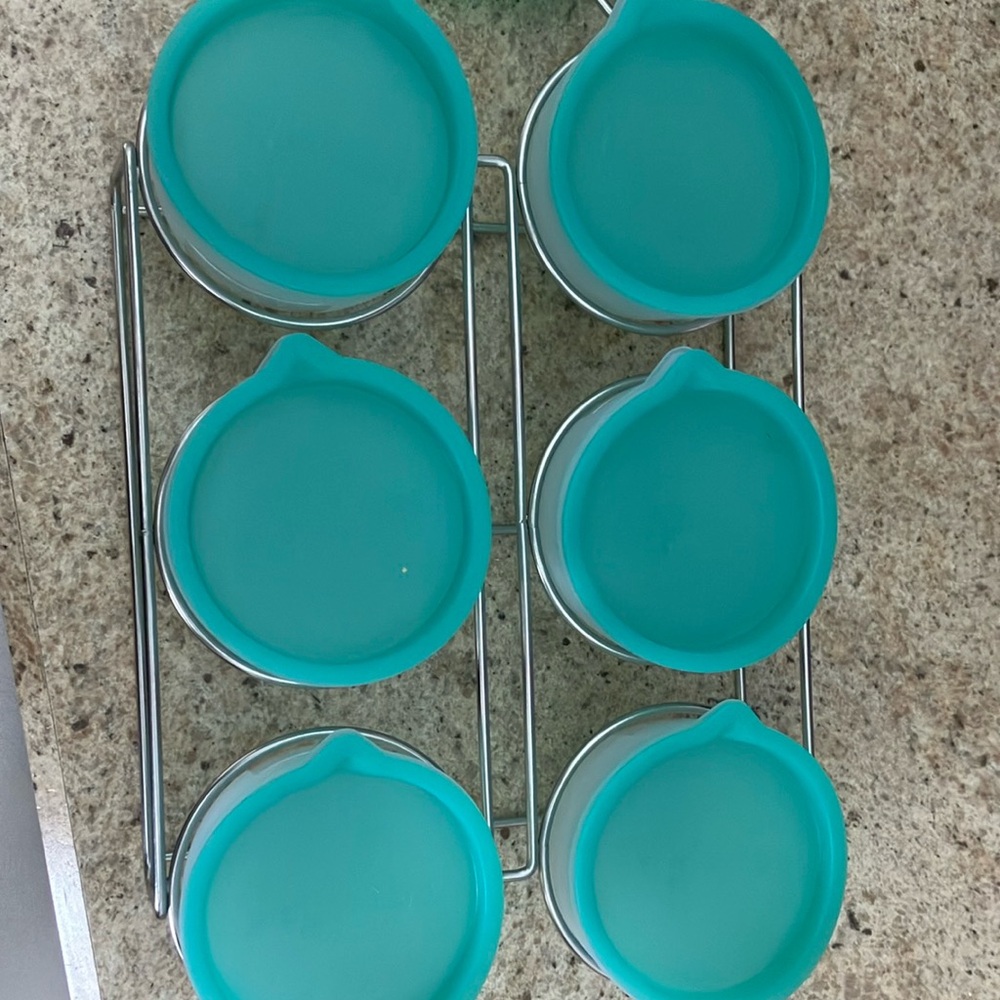 Pampered Chef- baby food Aqua Silicone Lid Storage Containers